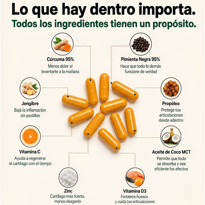 Cápsulas de Cúrcuma y Curcumina 95% — 1000mg